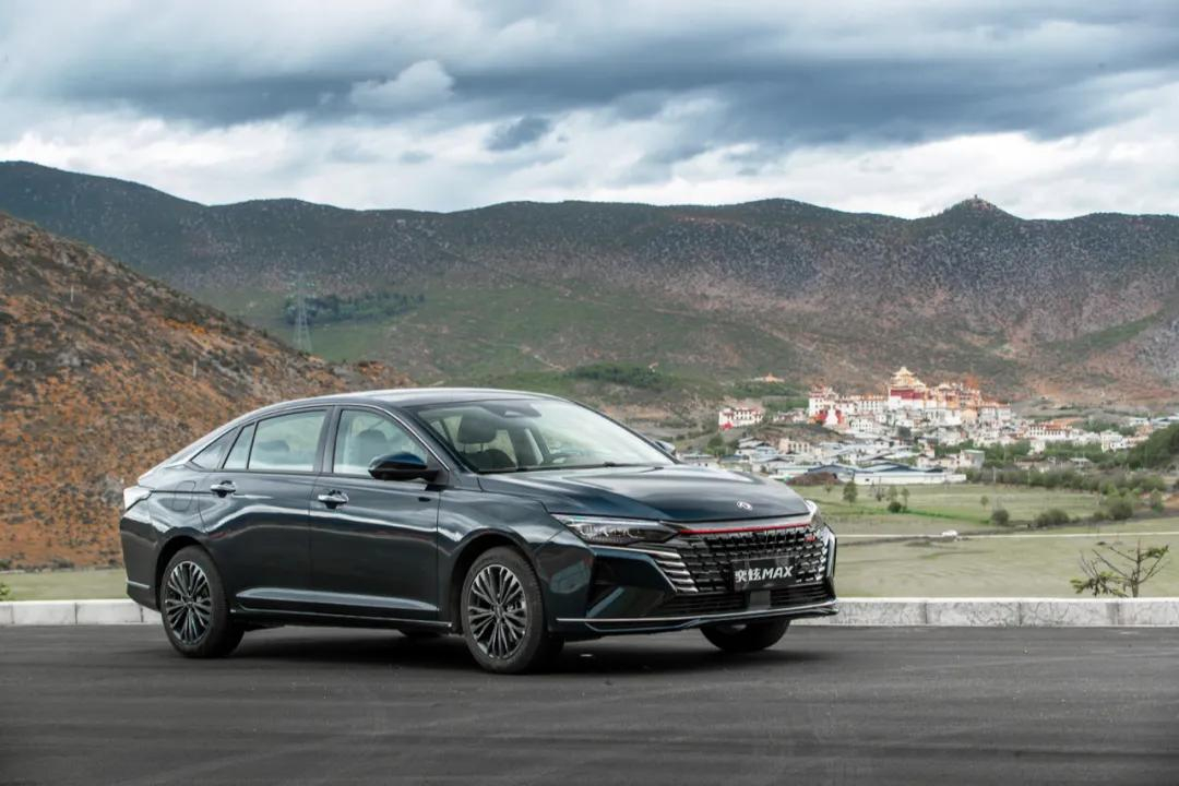 MAX享維修保養(yǎng)終身免費上門取車服務